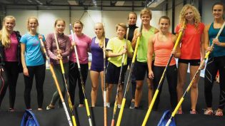 Til himmels med stav