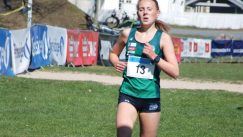 Um-gullet ble i bygda